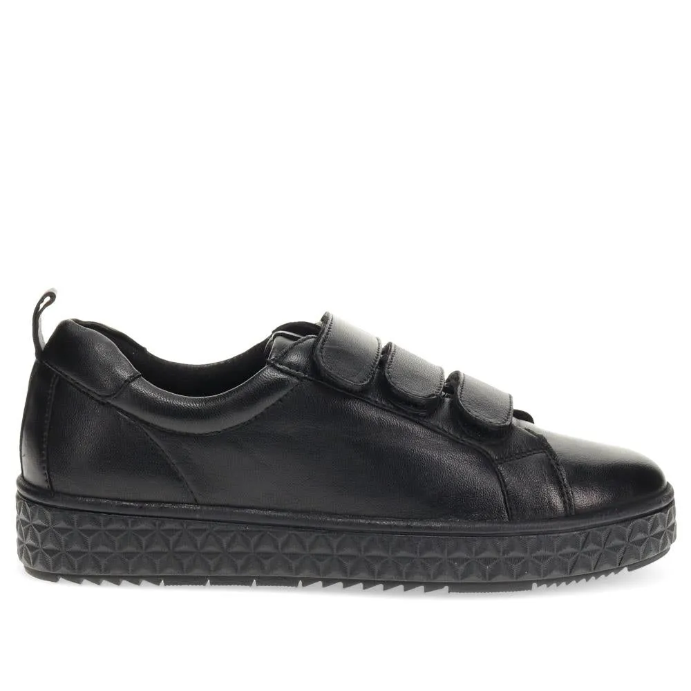 Touch-Fasten Trainers - THEST40007 / 326 278